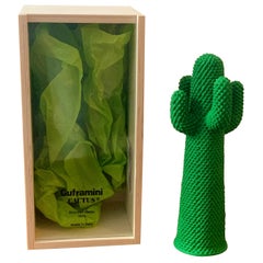 Guframini Miniature Cactus by Drocco & Mello