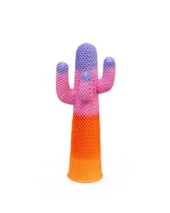 GUFRAMINI Miniature Sunrise Paul Smith Kaktus von Drocco & Mello