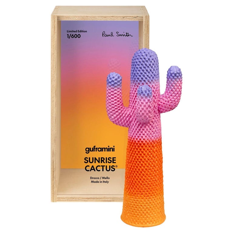 GUFRAMINI Miniature Sunrise Paul Smith Cactus by Drocco and Mello For Sale  at 1stDibs
