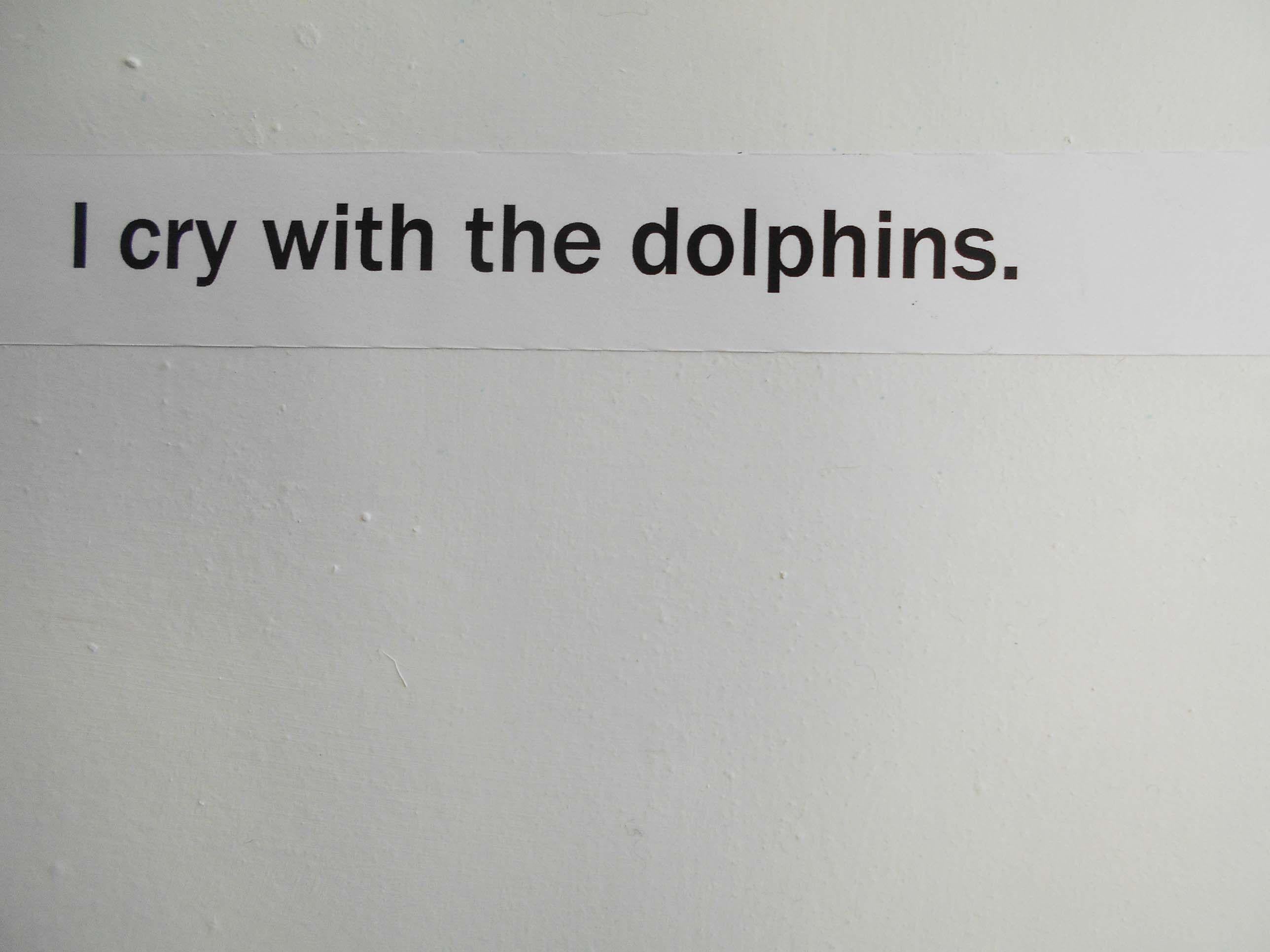 Lloro con los delfines, Pintura, Acrílico sobre lienzo en venta 1