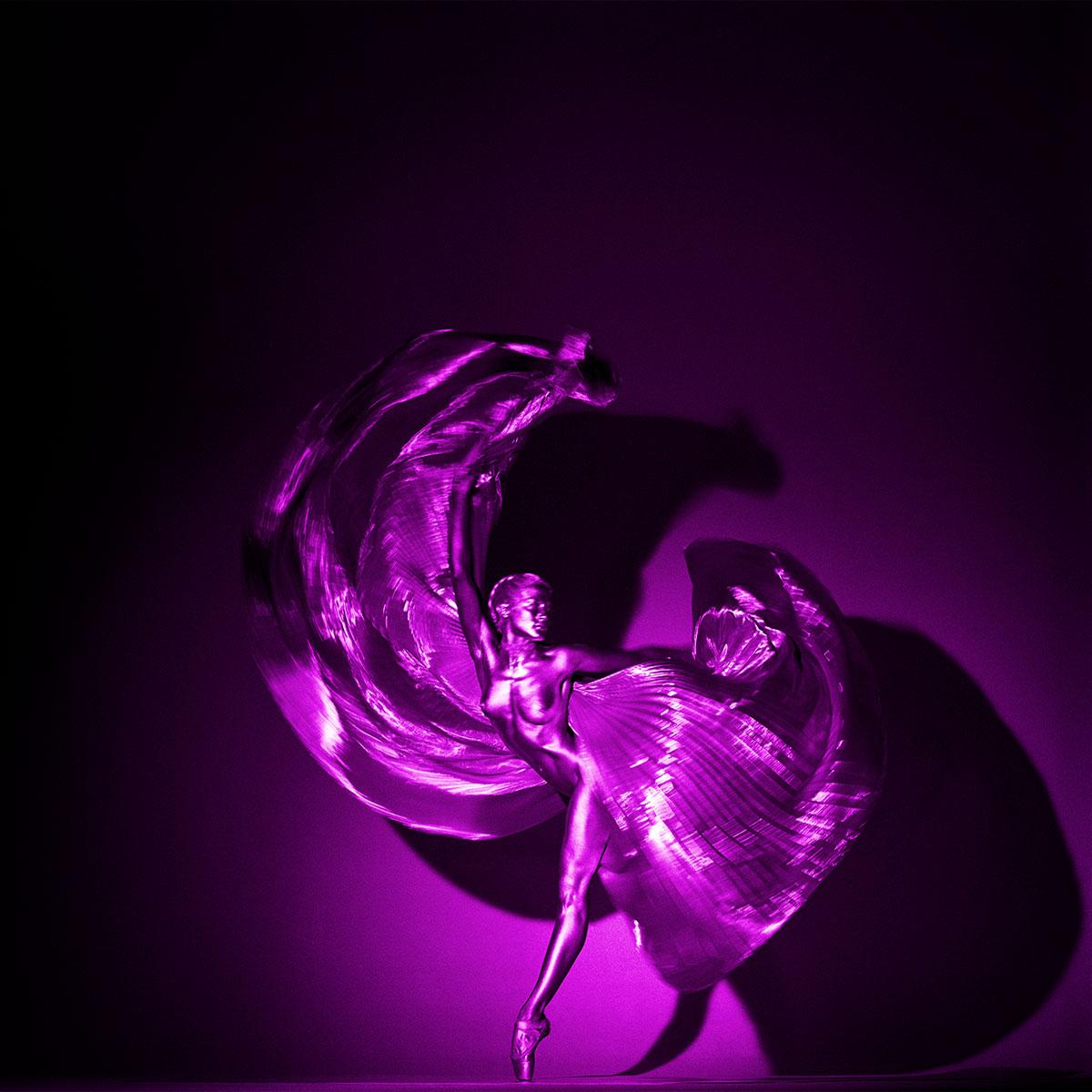 Series: PURPLE
All available sizes and editions:

40" x 40" editions of 18
50" x 50" editions of 7
60" x 60" editions of 3
72" x 72" editions of 1

Archival Pigment Print on Fine Art Baryta paper
Mounted and Framed

Guido Argentini is an Italian