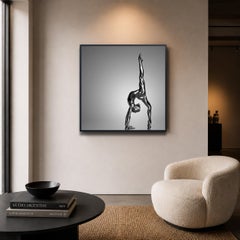AOIDE by Guido Argentini