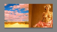 Arizona dreaming EROS Mounted on Plexiglas, Diptych, 10x20 in (25x50cm)