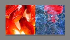 Beyond oblivion and tears EROS Mounted on Plexiglas, Diptych, 10x20 in (25x50cm)