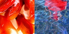 Beyond oblivion and tears EROS Mounted on Plexiglas, Diptych, 10x20 in (25x50cm)