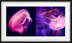 Washed by the Moonlight - Pink and Purple Underwater, Fine Art Photography, 2015