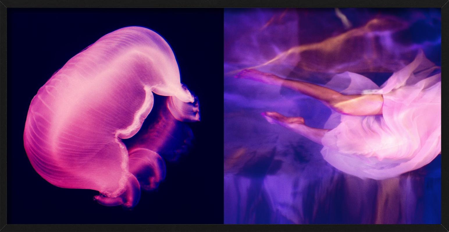 Colorful two-part picture of a model in a pink and purple dress floating in water next to a a pink jellyfish, photographed by Guido Argentini in 2015.

PREISS FINE ARTS is one of the world’s leading galleries for fine art photography representing