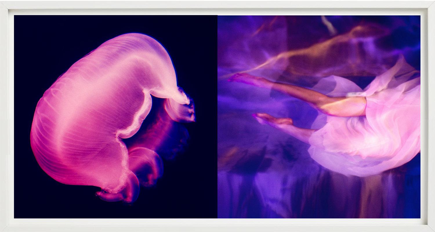 Diptychon: Washed by the moonlight - Pink and Purple, Fine Art Photography, 2015 For Sale 2