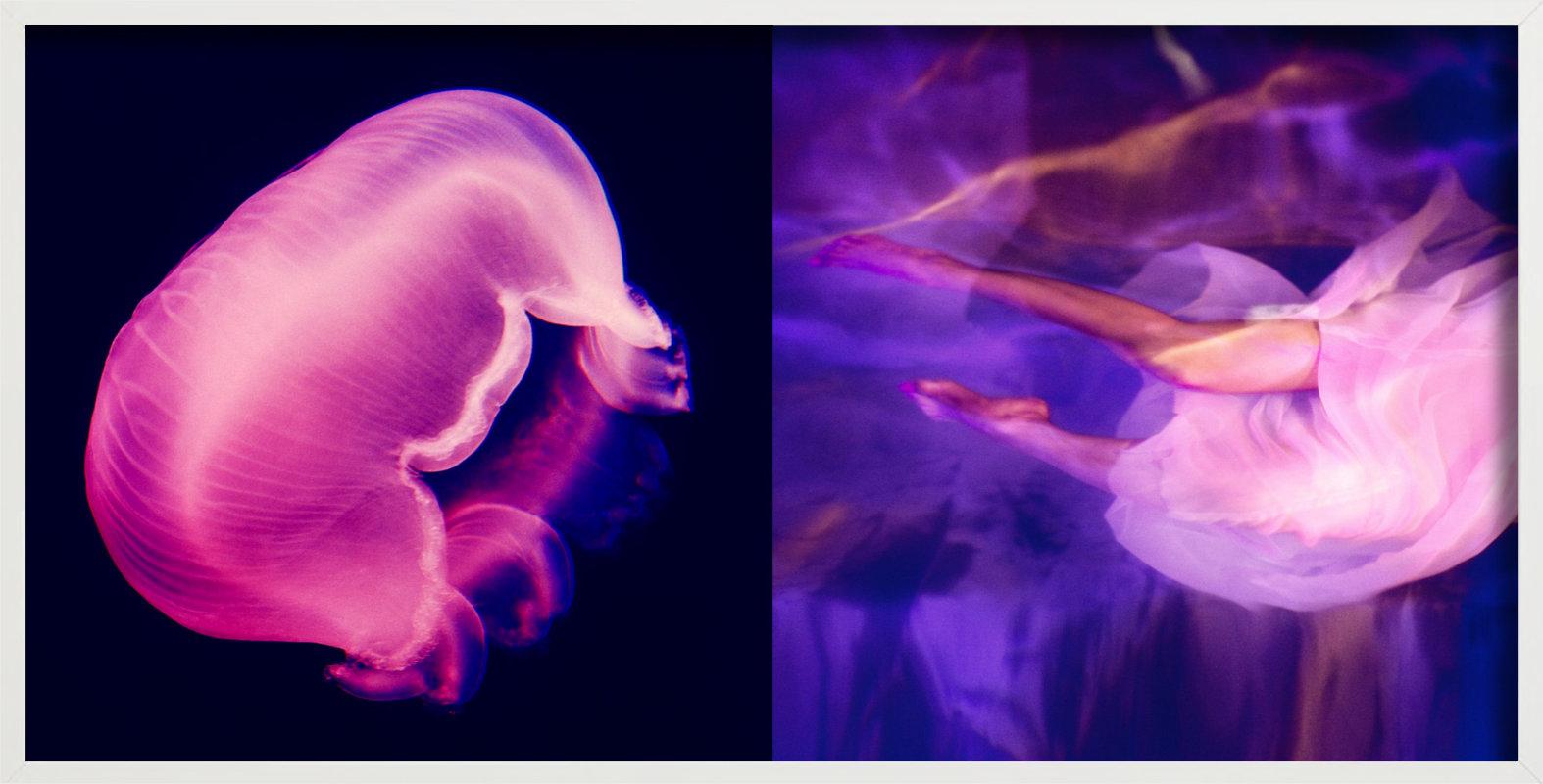 Diptychon: Washed by the moonlight - Pink and Purple, Fine Art Photography, 2015 For Sale 3