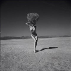 EL MIRAGE de Guido Argentini