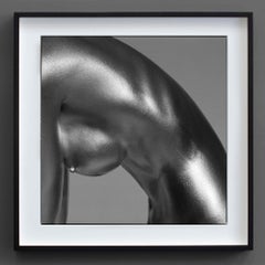 EOS, Argentum series, FRAMED