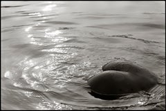 GAIA WATER GREECE II - Nudi in paesaggi, Fotografia d'autore, 2006