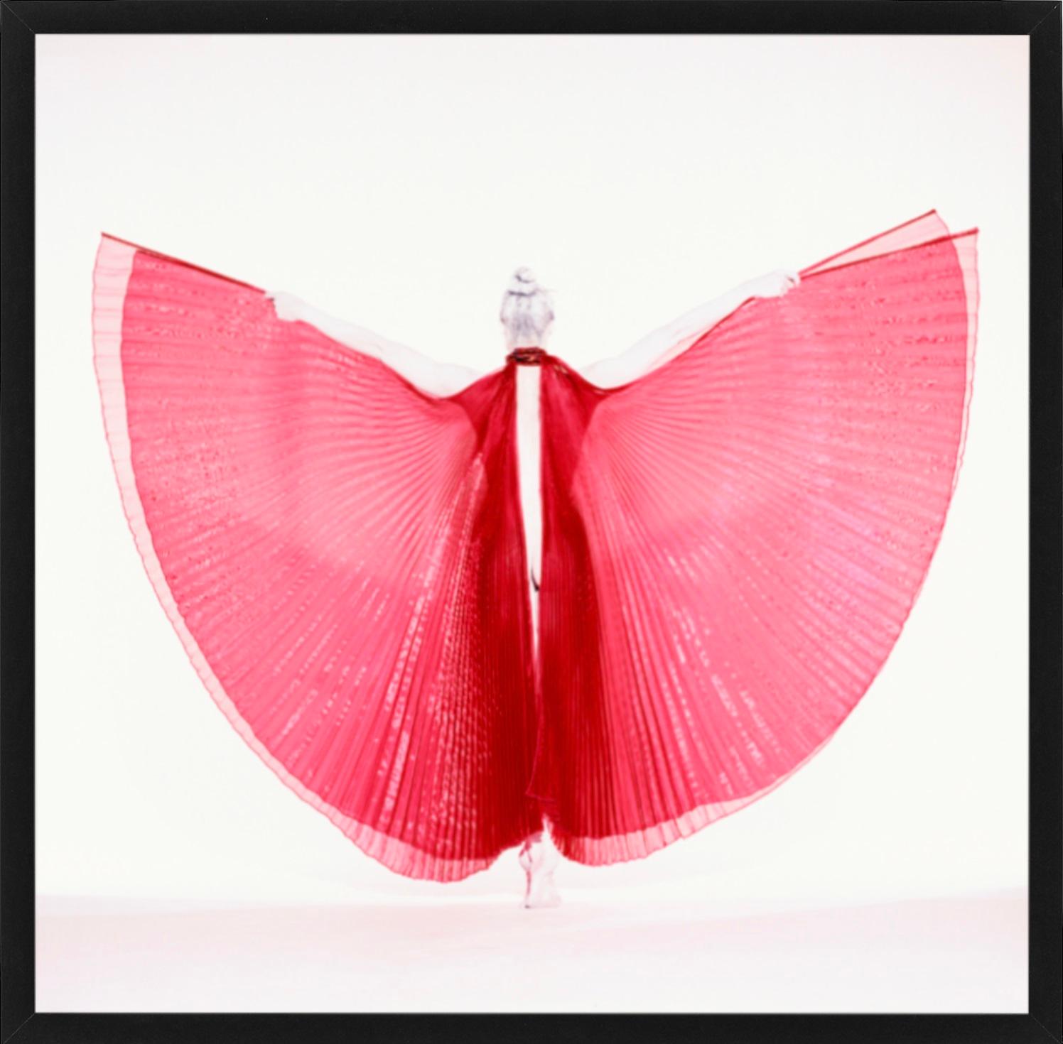 Giulia als Schmetterling – Aktfotografie eines weiblichen Modells mit rotem Hintergrund – Photograph von Guido Argentini