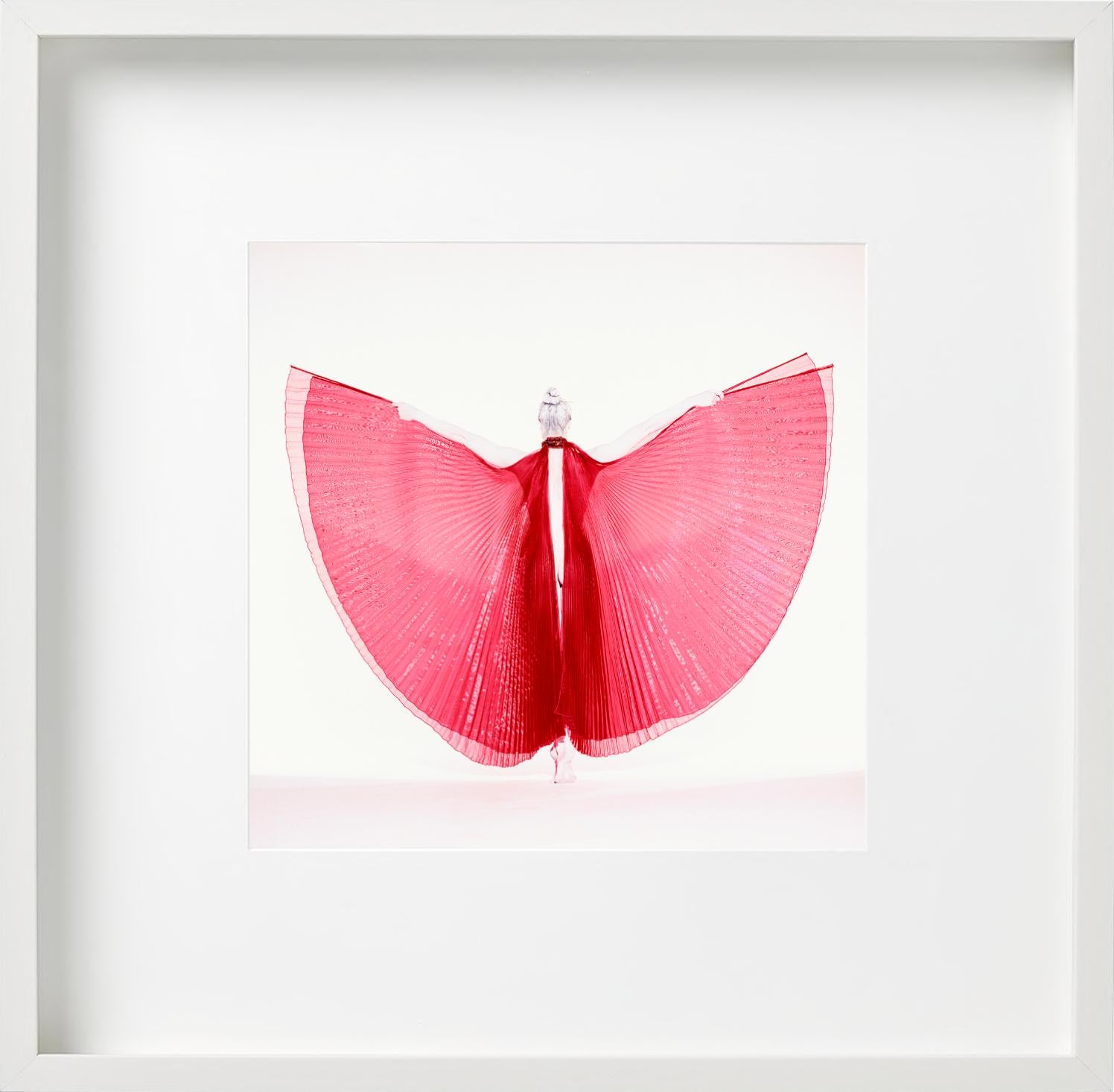 Giulia als Schmetterling – Aktfotografie eines weiblichen Modells mit rotem Hintergrund im Angebot 1
