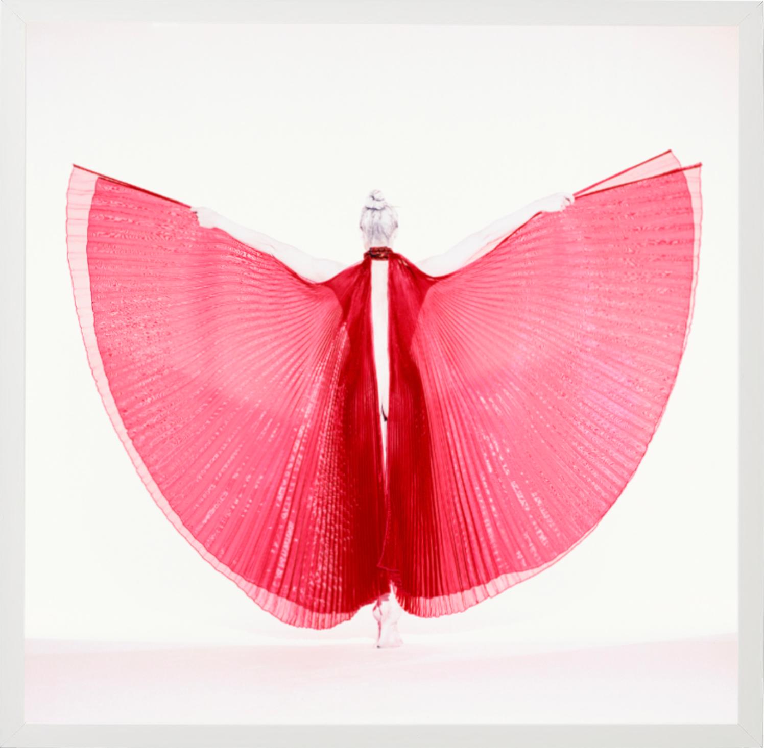 Giulia als Schmetterling – Aktfotografie eines weiblichen Modells mit rotem Hintergrund im Angebot 2