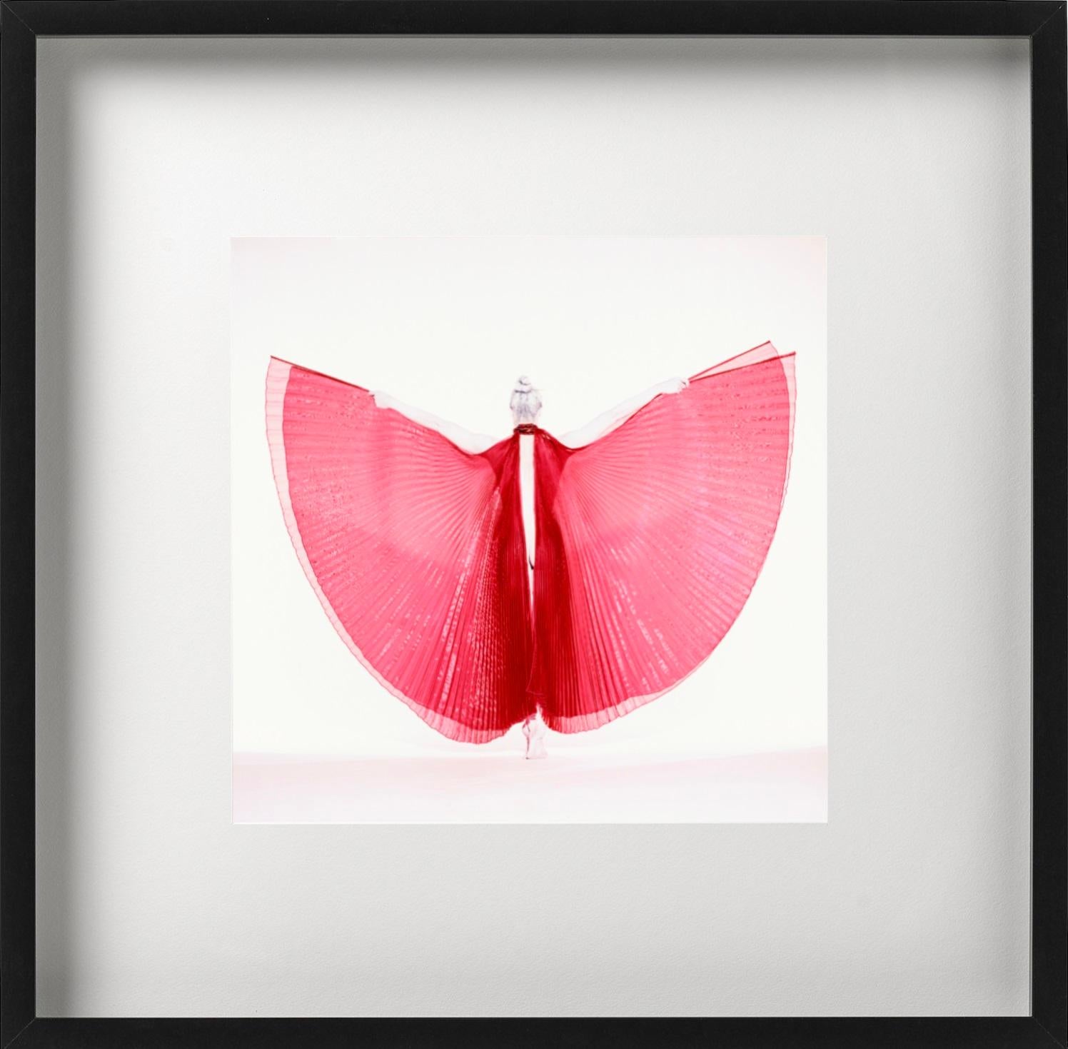 Giulia als Schmetterling – Aktfotografie eines weiblichen Modells mit rotem Hintergrund im Angebot 3