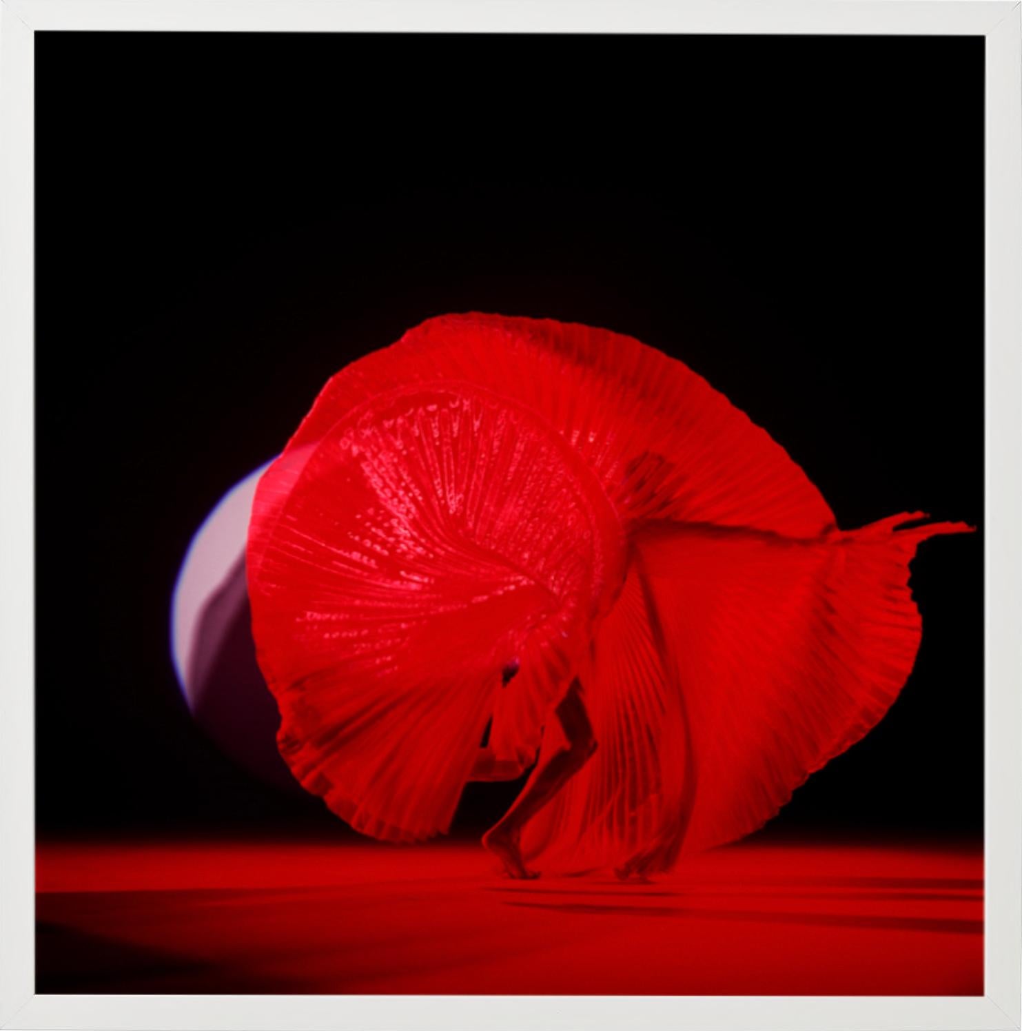 Giulia As a Red Butterfly - nude photograph female model with red background - Photograph by Guido Argentini