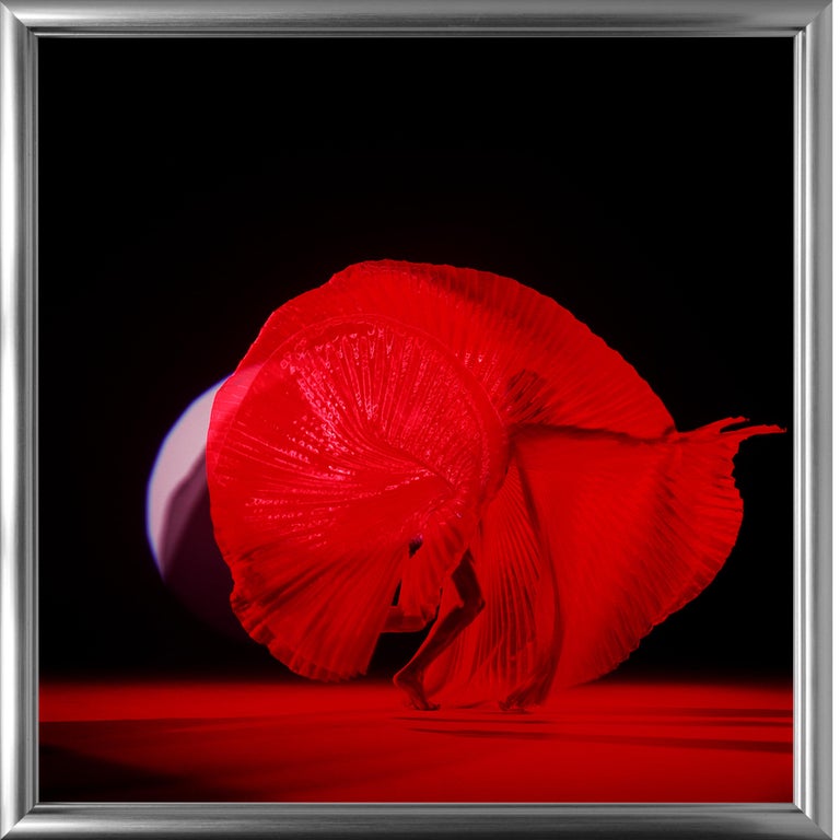 Guido Argentini - Giulia As a Red Butterfly - nude photograph female model with red background