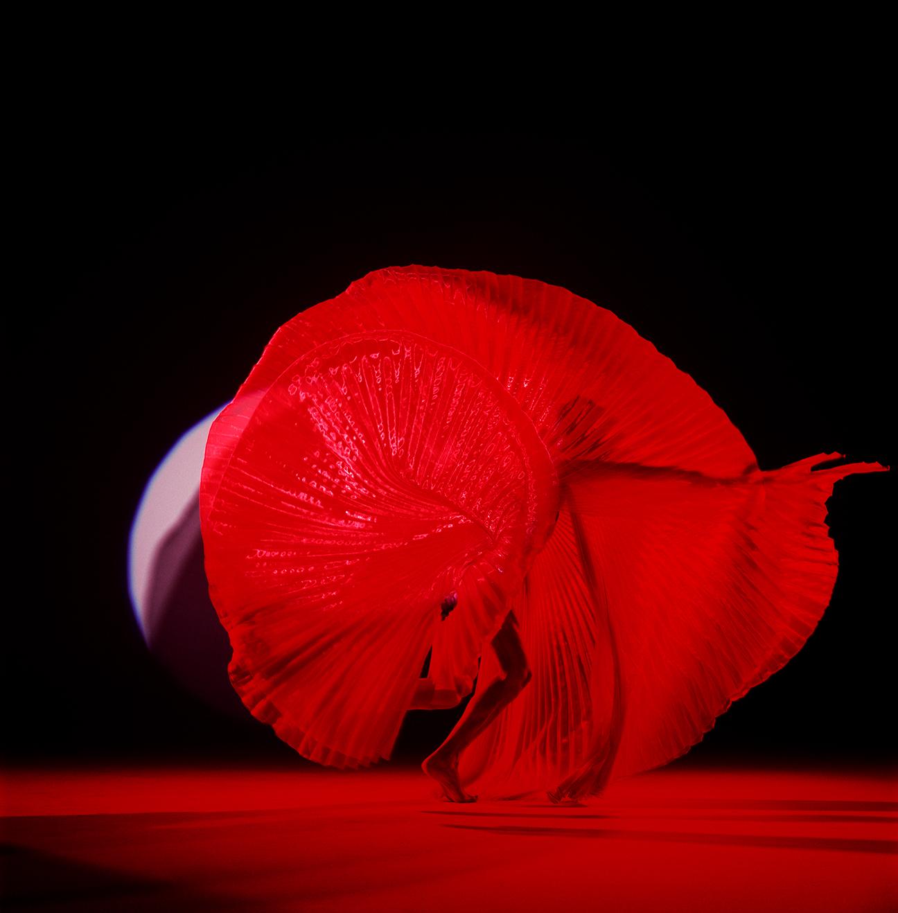 Guido Argentini Figurative Photograph - Giulia As a Red Butterfly - nude photograph female model with red background