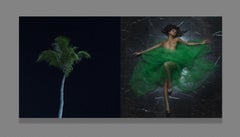 In the early twilight EROS Mounted on Plexiglas, Diptych, 10x20 in (25x50cm)