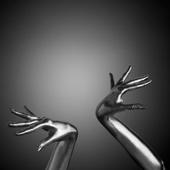 Luna, Argentum Series - Limited Edition Fine Art Print