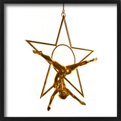 NUT - GOLD SERIES, Bildende Kunst Fotografie