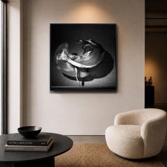 OSIRIS Argentum by Guido Argentini, DIAMOND DUST series, unique, FRAMED