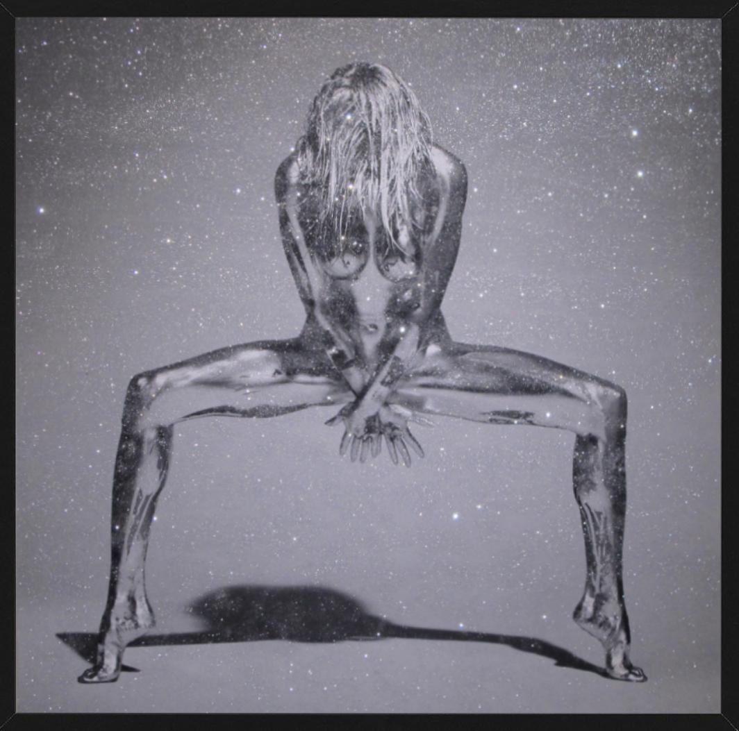 Silvereye Diamond Dust - Nude in Silver Paint, Fine Art Photography, 1995 For Sale 1