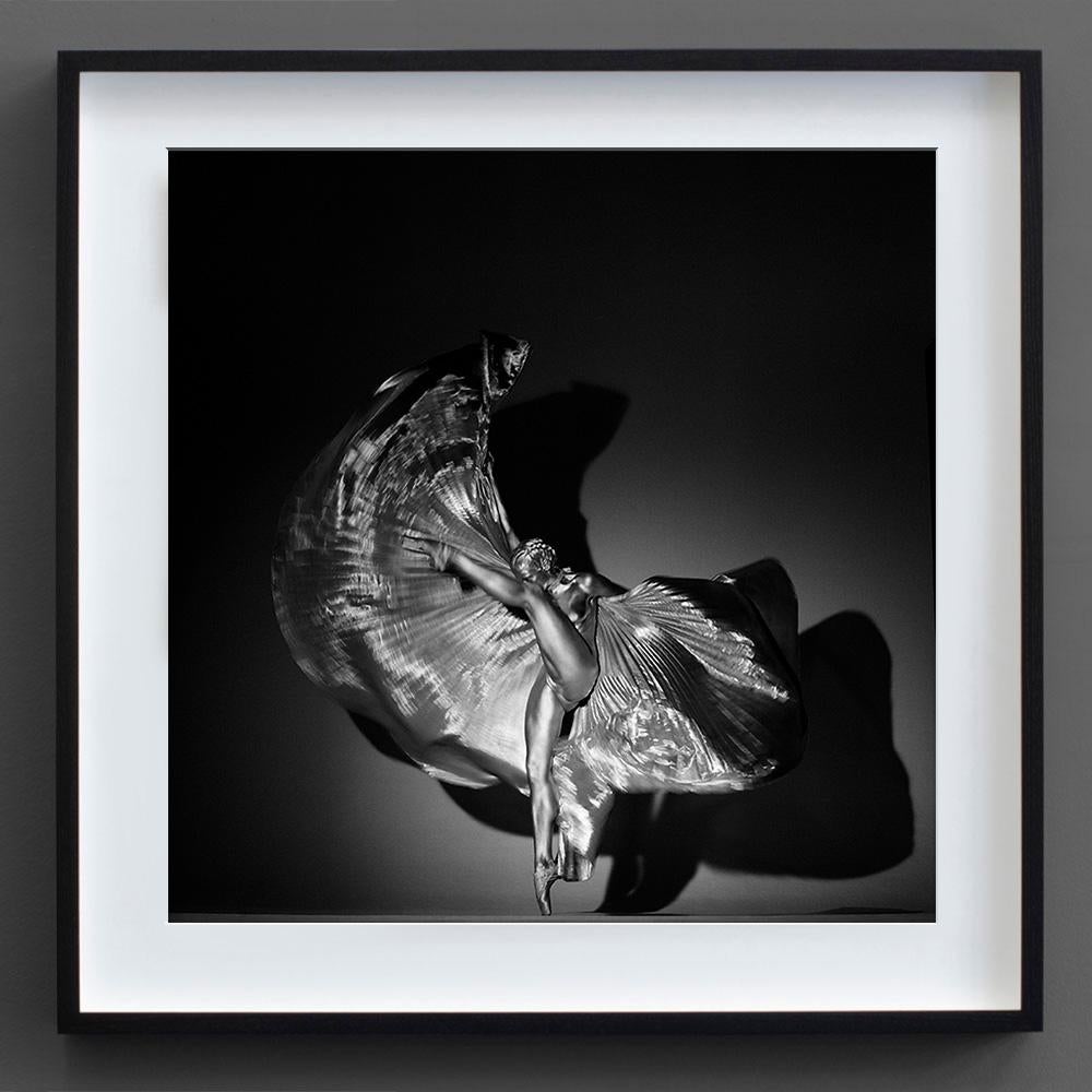 Guido Argentini Photography - 547 For Sale at 1stDibs | guido