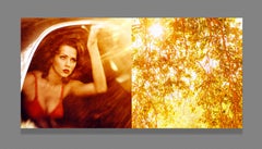 Tomorrow is another day EROS Mounted on Plexiglas, Diptych, 10x20 in (25x50cm)