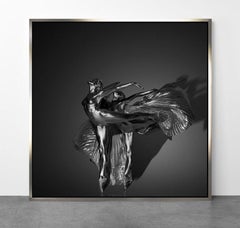 TOUCHING THE WORLD AND REACHING by Guido Argentini ARGENTUM series