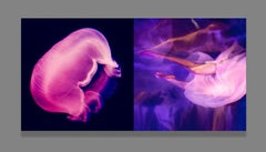 Washed away be the moonlight EROS Mounted on Plexiglas, Diptych, 10x20 in