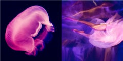 Washed by the Moonlight - Pink and Purple Underwater, Fine Art Photography, 2015