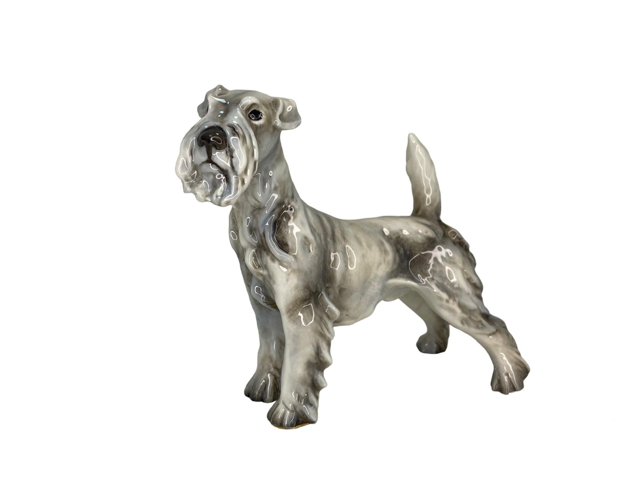 20th Century Guido Cacciapuoti Porcelain Figurine Of A Wire Fox Terrier Dog For Sale