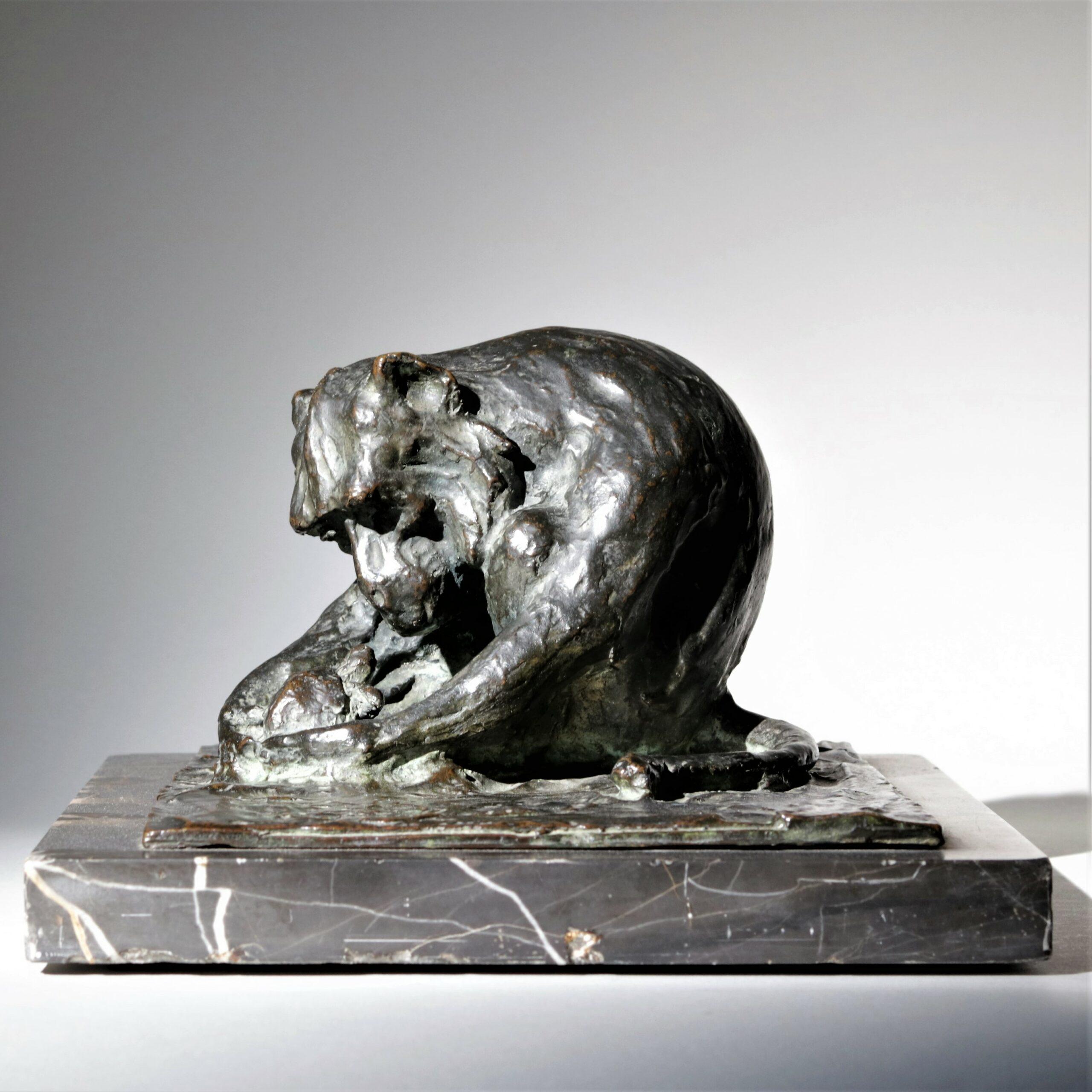 Italian animal bronze,  Baboon with Turtle By Guido Righetti 1