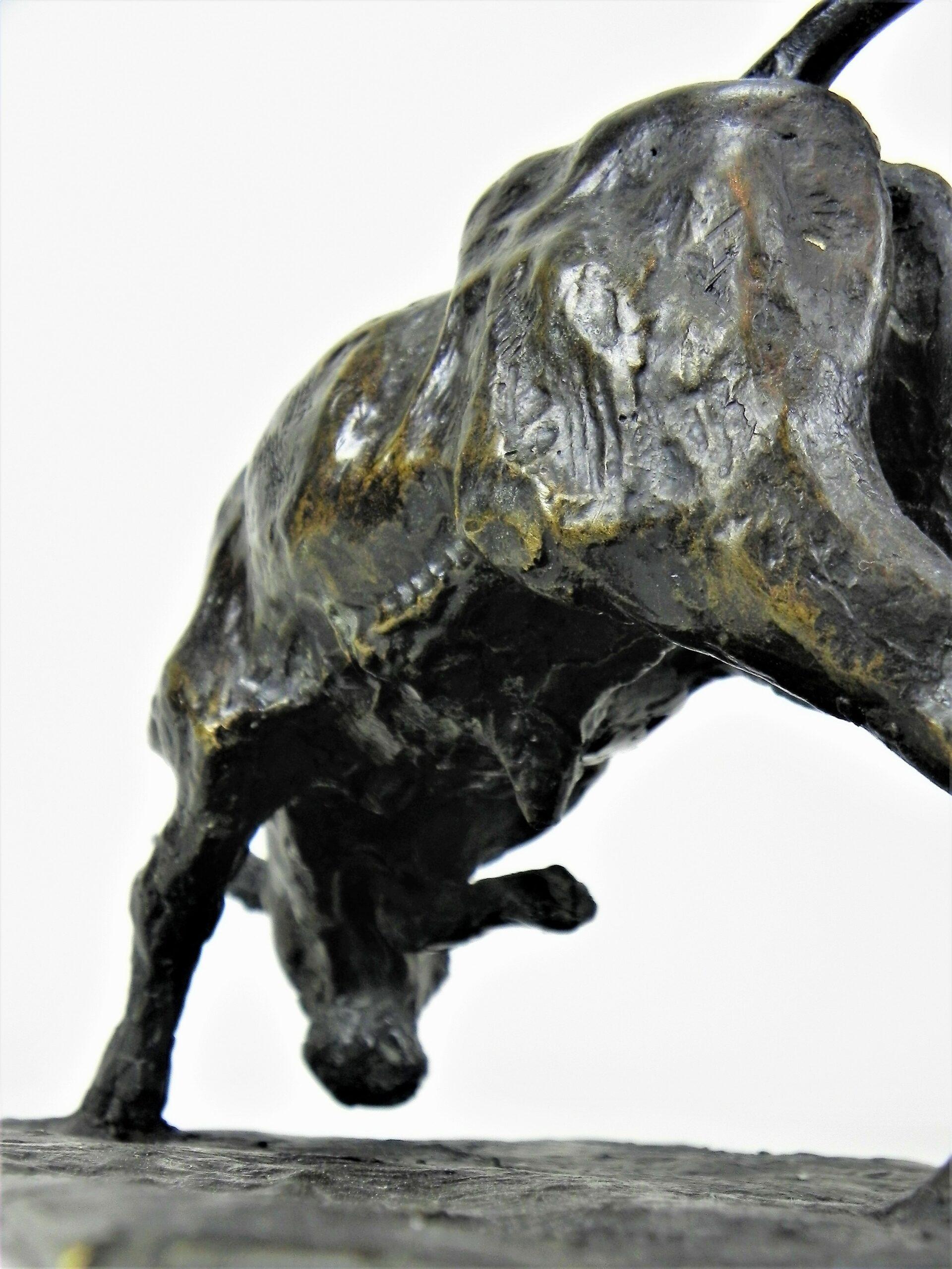 Bronce animal italiano,  Toro joven embistiendo Por Guido Righetti 4