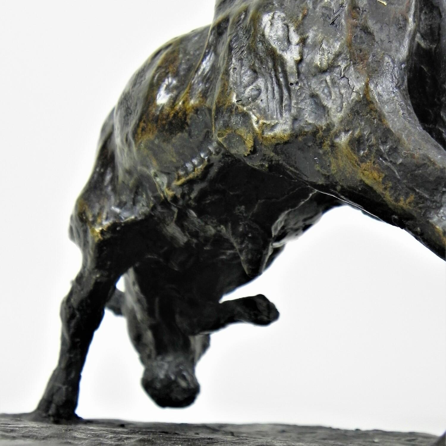 Giovane toro che combatte - Scultura in bronzo di Guido Righetti (c. 1926) in vendita 2