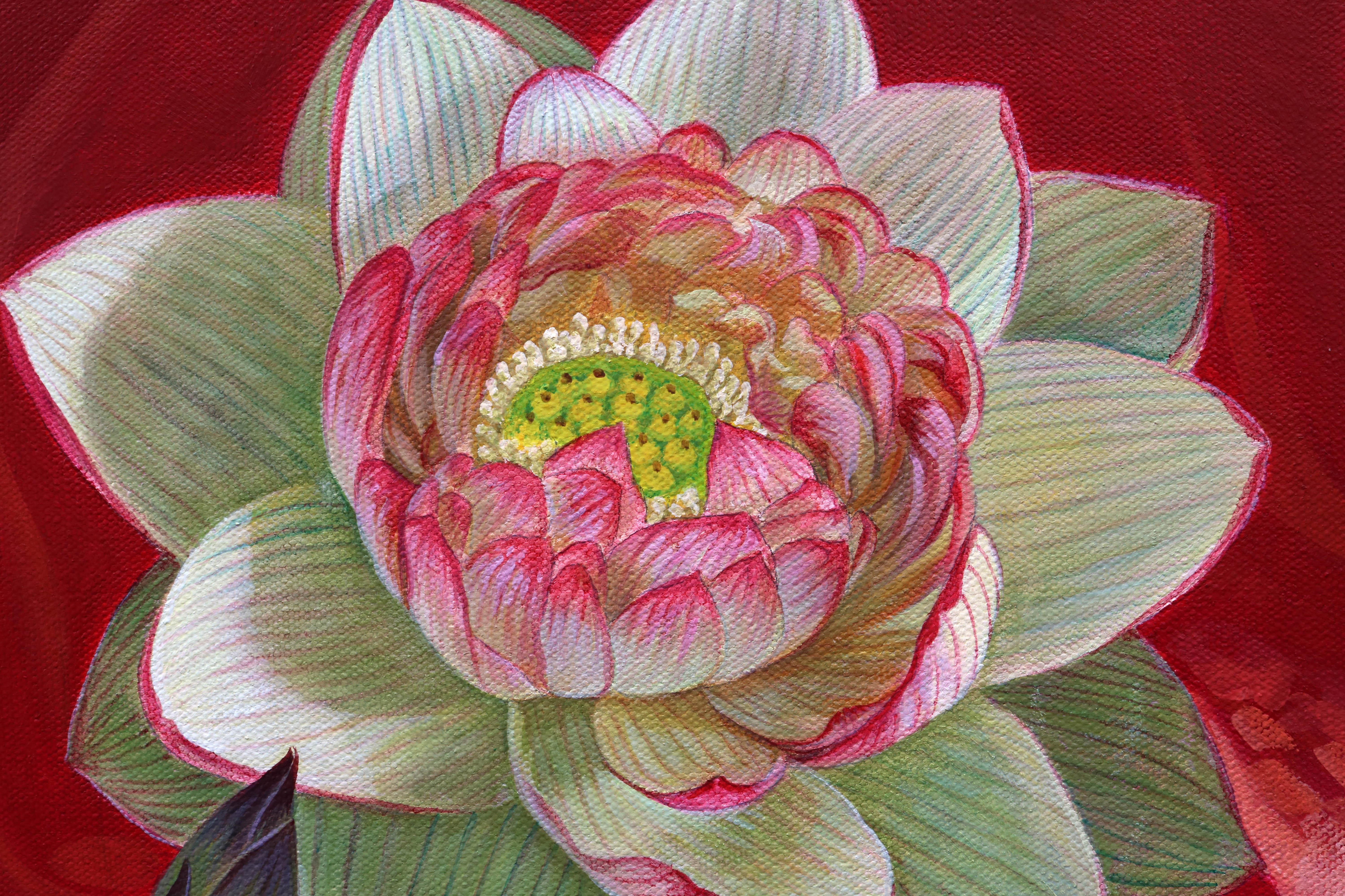 red lotus painting