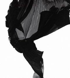 Desert Flower - Canary Islands