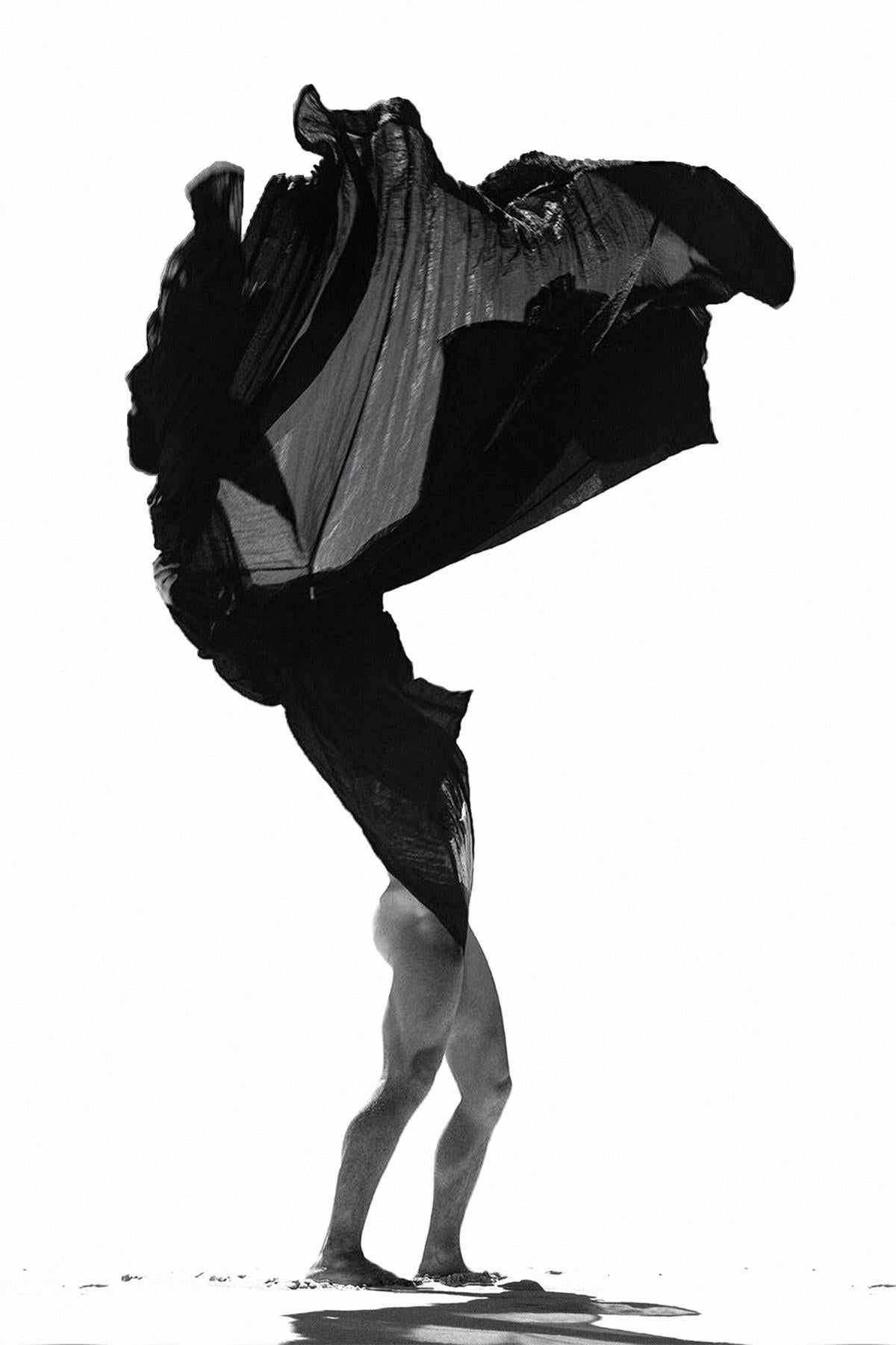 Fleur du désert - Îles Canaries