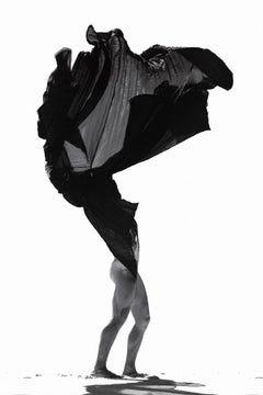 Desert Flower - Canary Islands