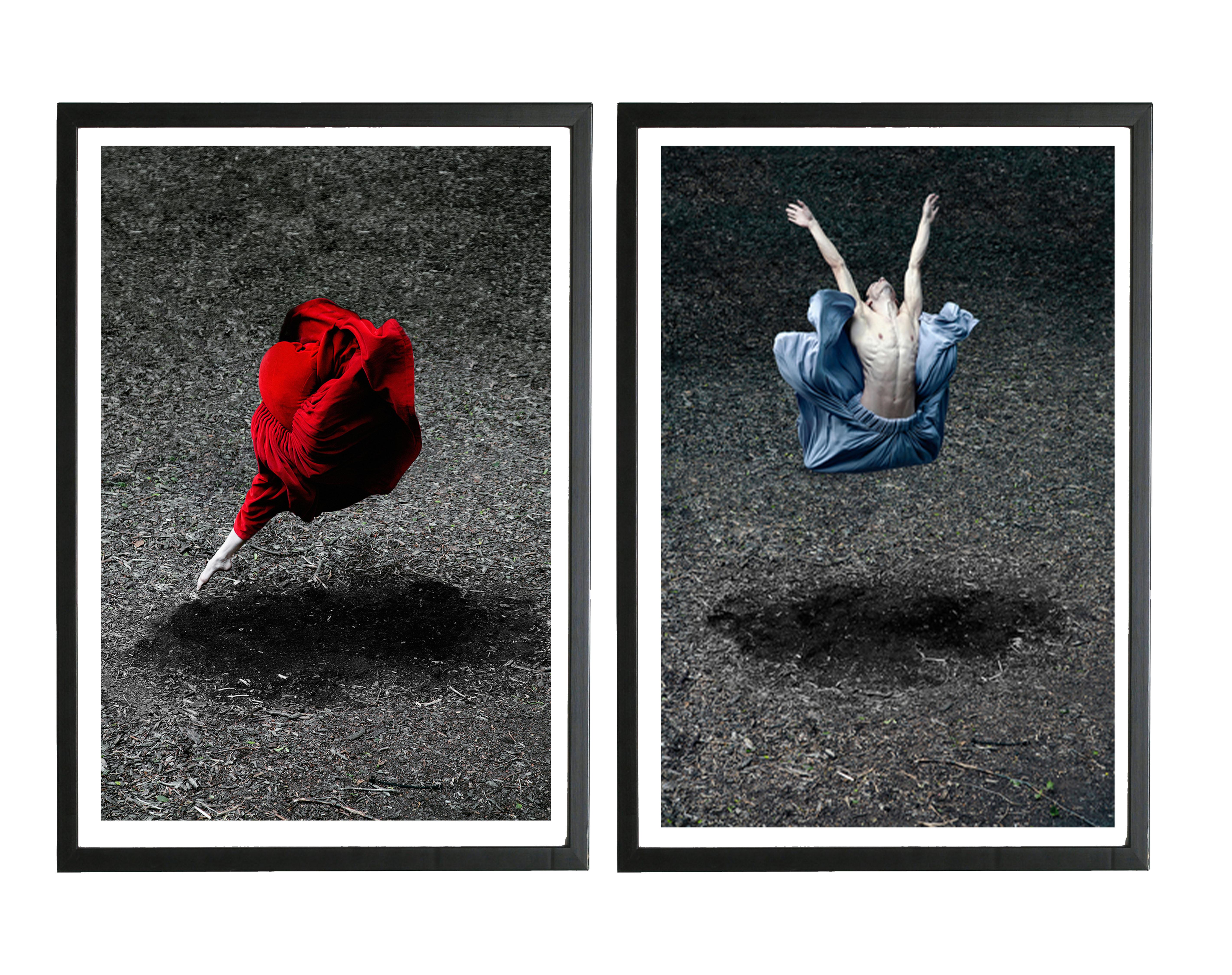 Guilherme Licurgo Figurative Photograph - Desert Rose and Blooming Flower I. Diptych. Framed