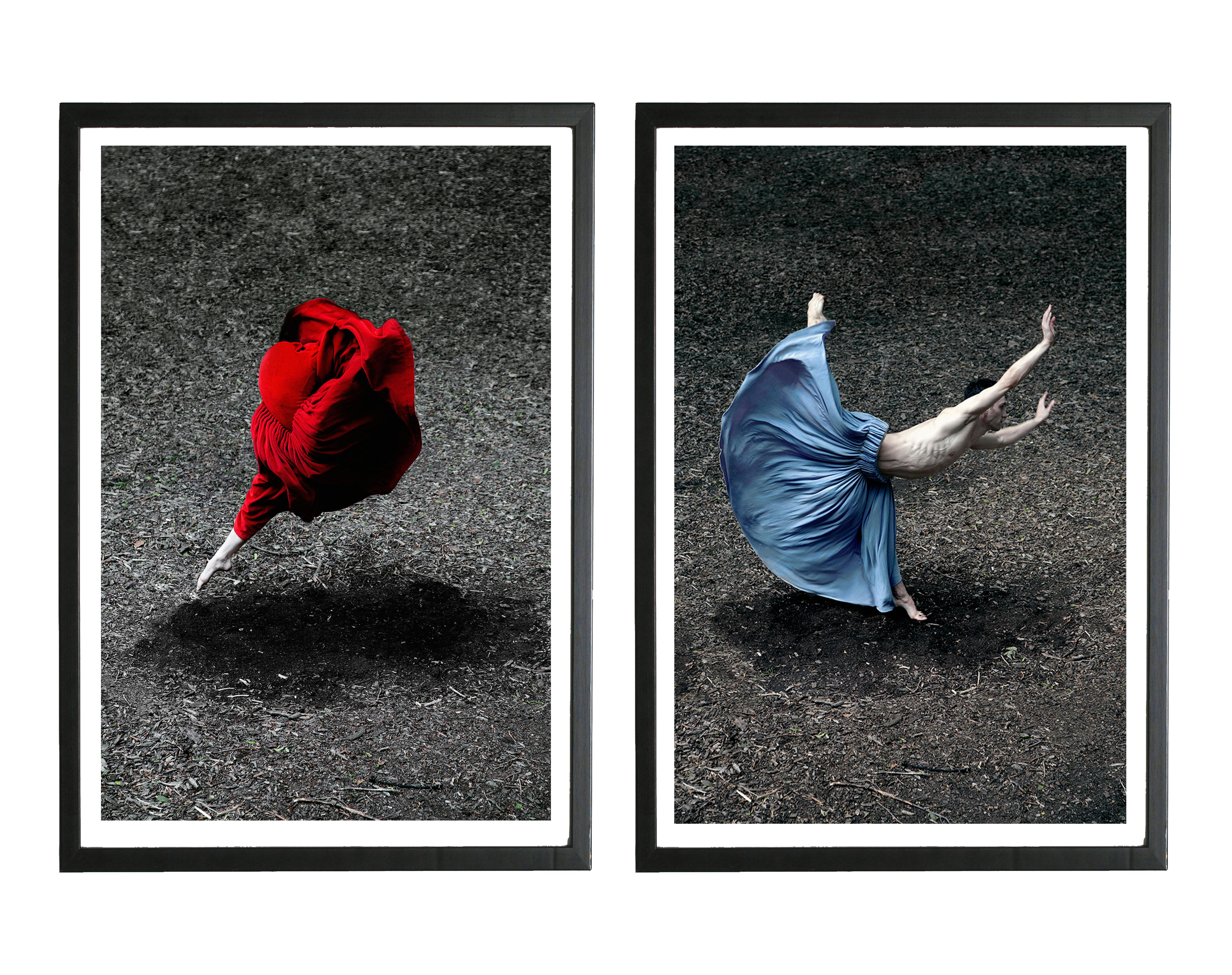 Guilherme Licurgo Color Photograph - Desert Rose and Booming Flower II. Diptych. Framed.