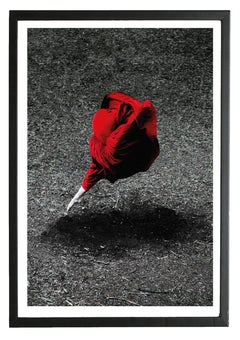 Desert Rose / Desert Flower – NYC, 2014. Framed.