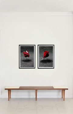 Desert Rose III and Desert Rose. Diptych. Framed.