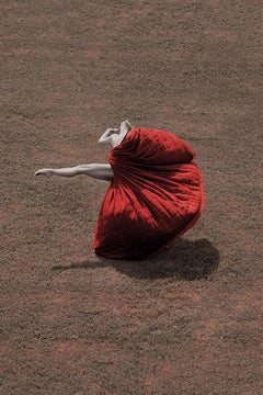 Petals and The Wind - Desert Flower