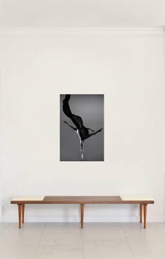 Seed III. From the Dessert Flower Series.