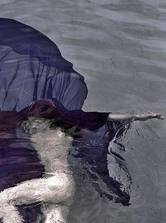 Untergetauchtes Blütenblatt / Wüstenblume – Griechenland:: 2014.