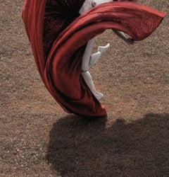 The Heart - Desert Flower