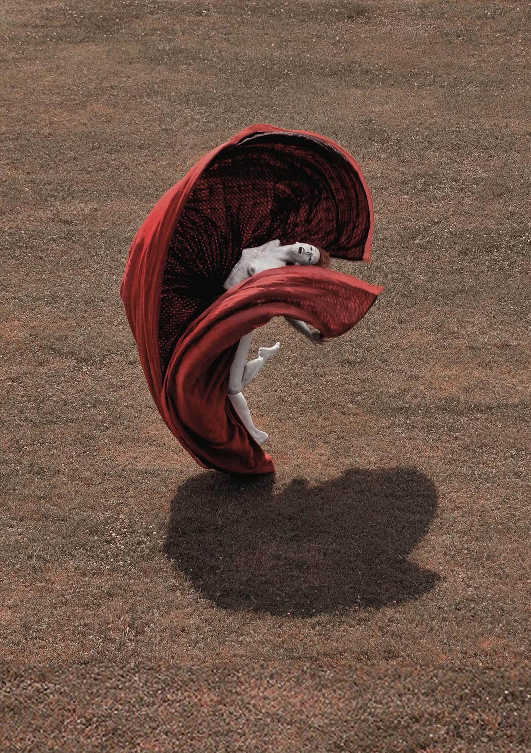 Le cœur - Fleur du désert